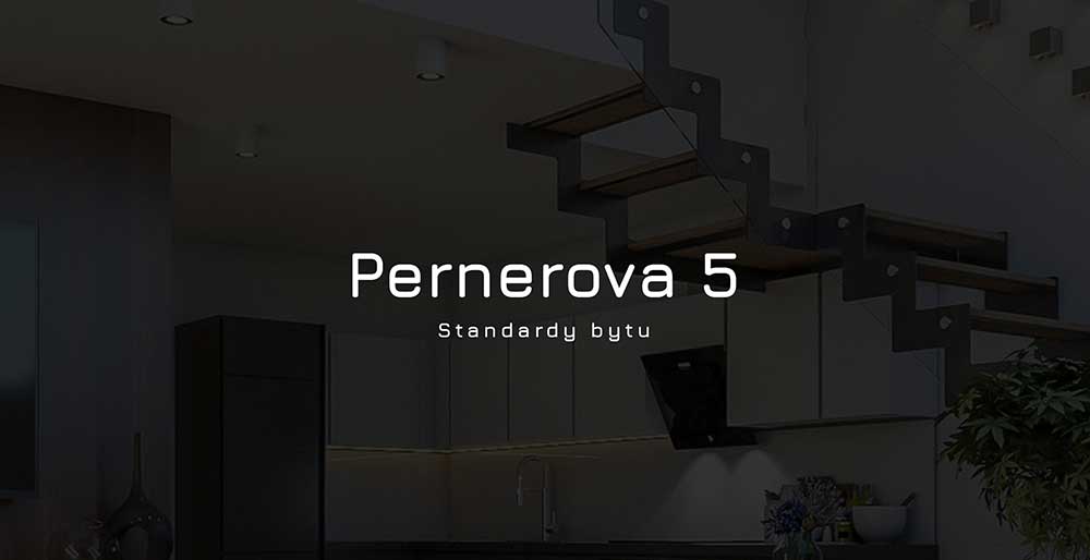 Standardy projektu